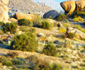 photo thumbnail #2