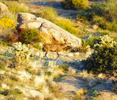 photo thumbnail #3