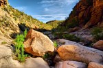 photo thumbnail #8
