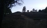 photo thumbnail #14