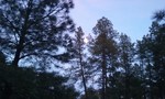 photo thumbnail #15