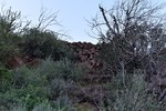 photo thumbnail #1