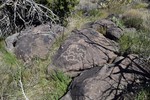 photo thumbnail #11