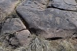 photo thumbnail #13