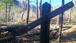 photo thumbnail #7