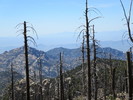 photo thumbnail #2