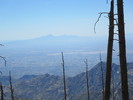 photo thumbnail #3