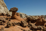 photo thumbnail #12