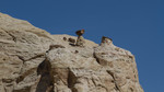 photo thumbnail #15
