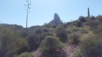 photo thumbnail #13