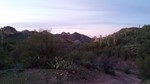 photo thumbnail #4