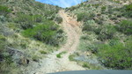 photo thumbnail #7