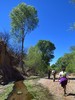 photo thumbnail #8