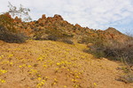 photo thumbnail #13