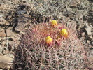photo thumbnail #7