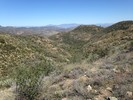 photo thumbnail #1