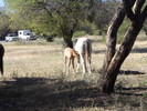 photo thumbnail #14