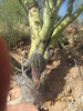 photo thumbnail #6