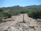 photo thumbnail #11