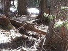 photo thumbnail #6