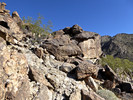 photo thumbnail #4