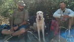 photo thumbnail #2