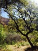 photo thumbnail #10
