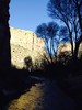 photo thumbnail #10