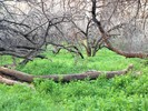photo thumbnail #11