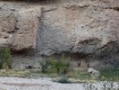 photo thumbnail #12