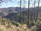 photo thumbnail #11