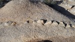 photo thumbnail #12