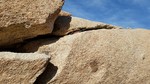 photo thumbnail #14