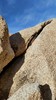 photo thumbnail #15