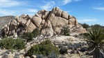 photo thumbnail #15