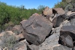 photo thumbnail #9