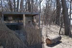 photo thumbnail #15