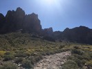 photo thumbnail #8