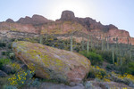 photo thumbnail #4