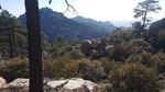 photo thumbnail #15