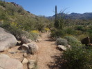 photo thumbnail #6