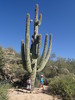 photo thumbnail #7