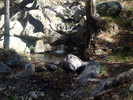 photo thumbnail #8