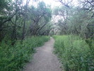 photo thumbnail #3