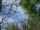 photo thumbnail #9