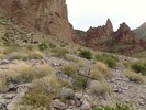 photo thumbnail #14
