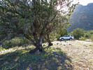 photo thumbnail #15