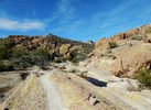 photo thumbnail #3