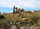 photo thumbnail #4