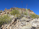 photo thumbnail #7